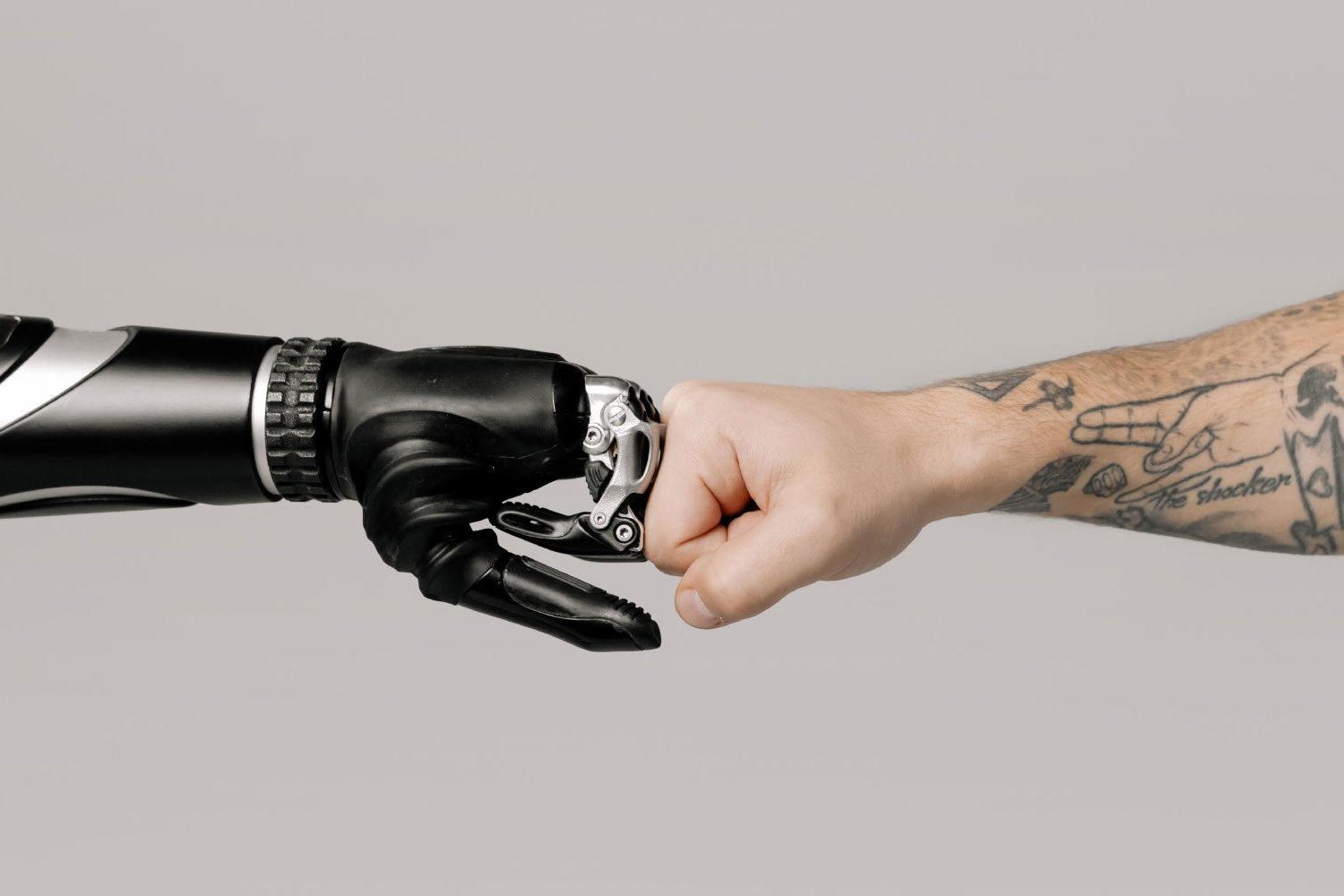 Effiziente Systemintegrationen und sichere Datenmigrationen für reibungslose Geschäftsprozesse